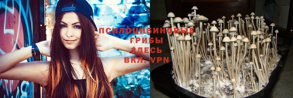 дурь Покровск