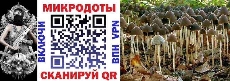 Купить где  Советская Гавань  Псилоцибиновые грибы ЛСД 